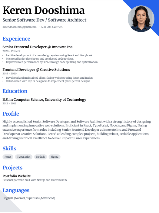 Professional CV Sample 2 - Creative Layout